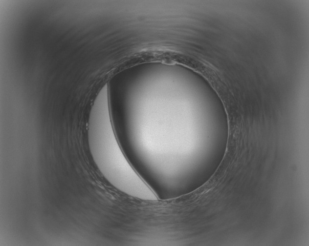 X0000073401014200607280929