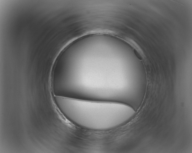 X0000073401044200607280930