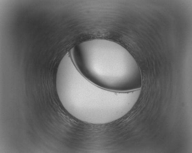X0000073401058200607280929