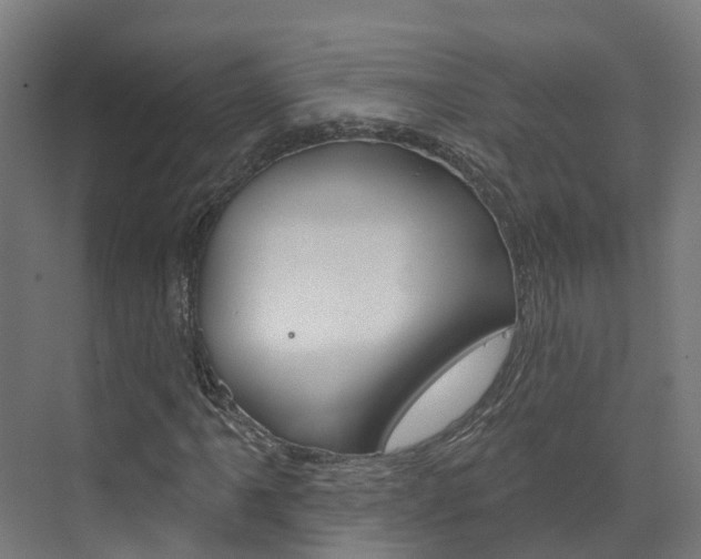 X0000073401061200607280929