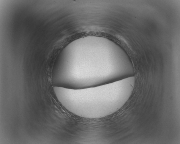 X0000073401063200607280929