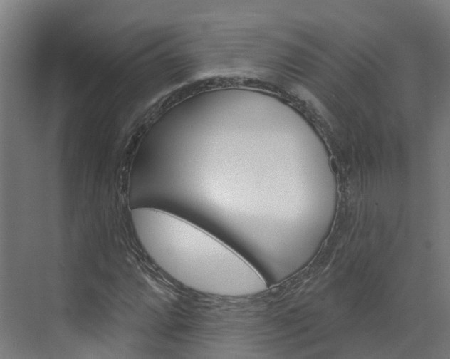X0000073401064200607280929