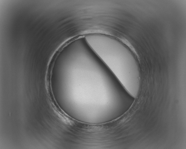 X0000073401076200607280929