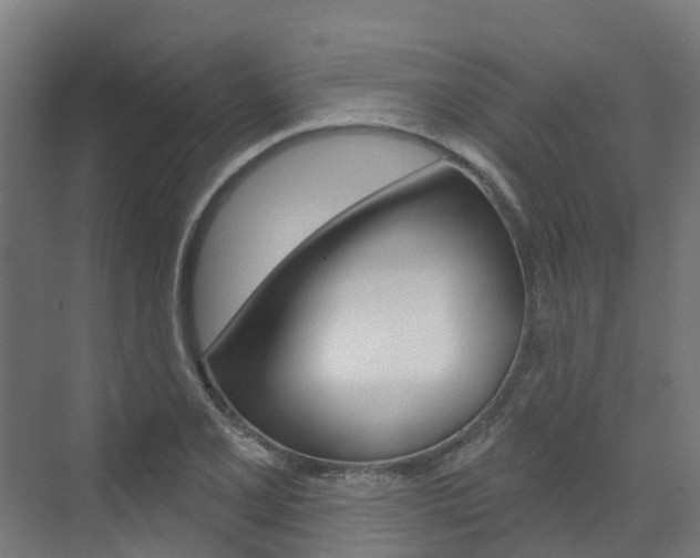 X0000073401077200607280929