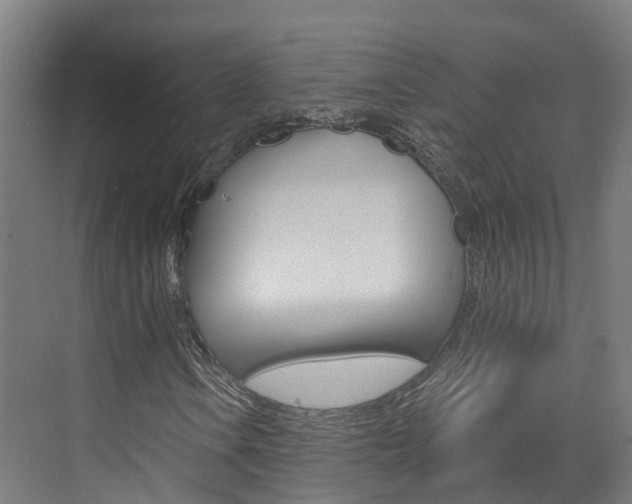X0000073401106200607280927