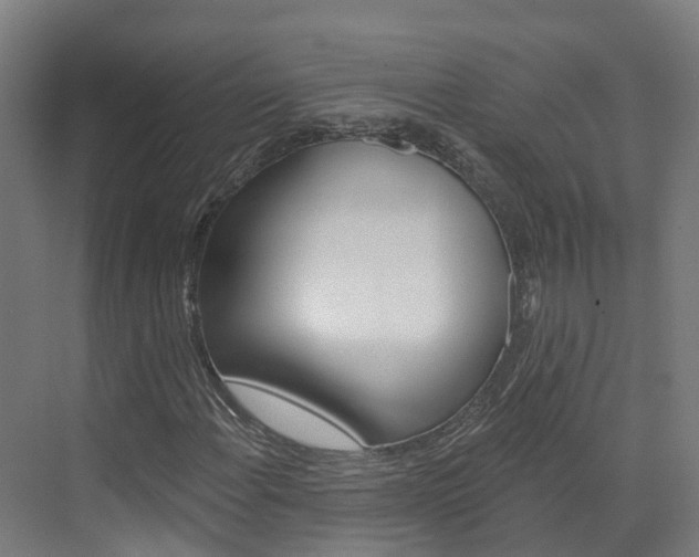 X0000073401108200607280927