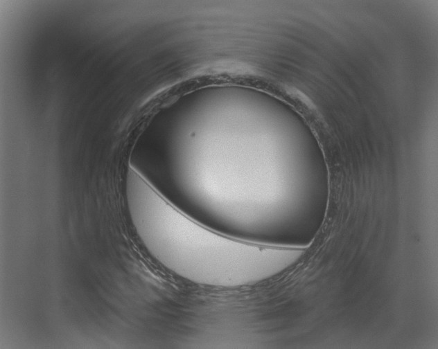 X0000073401112200607280927