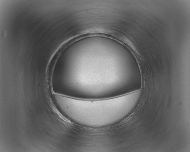 X0000073401116200607280928