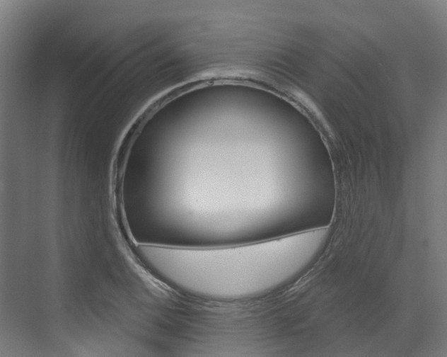 X0000073401124200607280928