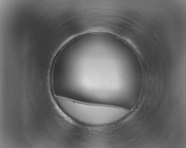 X0000073401134200607280928