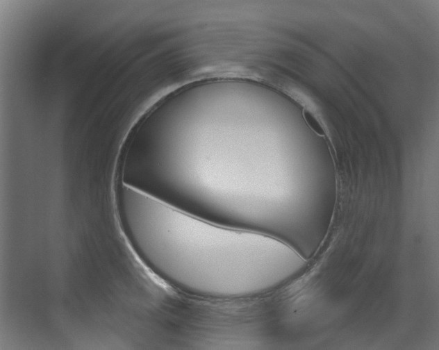 X0000073401141200607280928