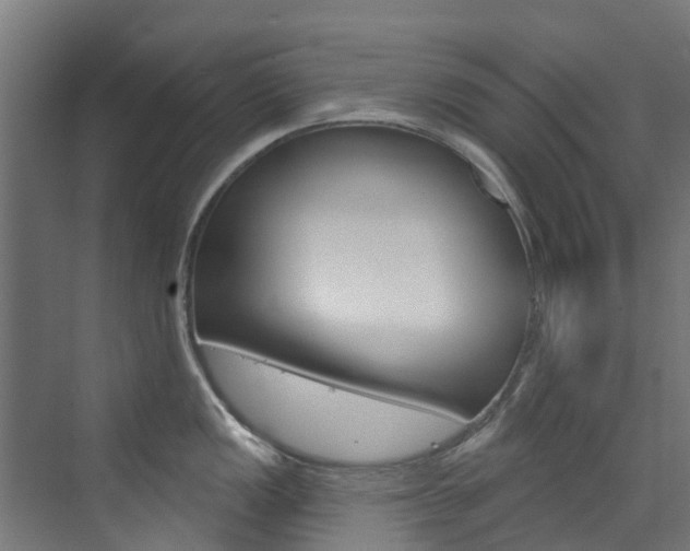 X0000073401149200607280928