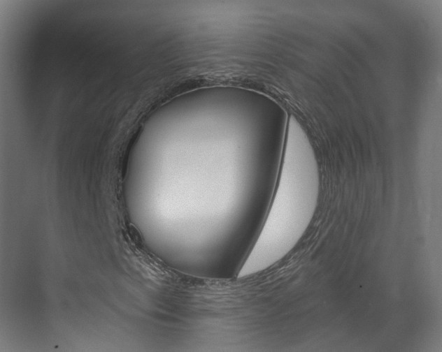 X0000073401153200607280927