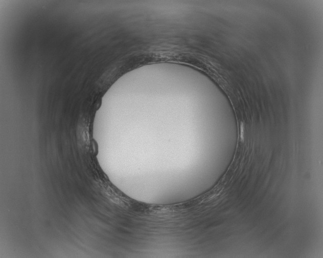 X0000073401155200607280927