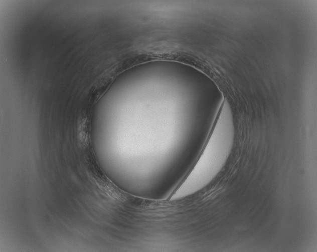 X0000073401156200607280927