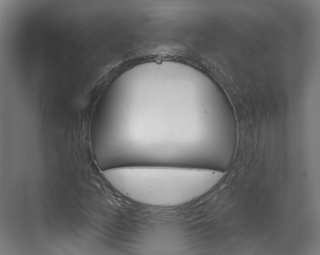 X0000073401158200607280927