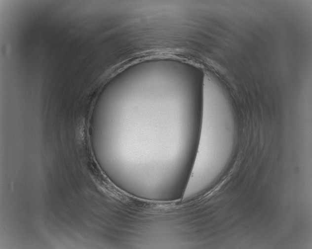 X0000073401161200607280927