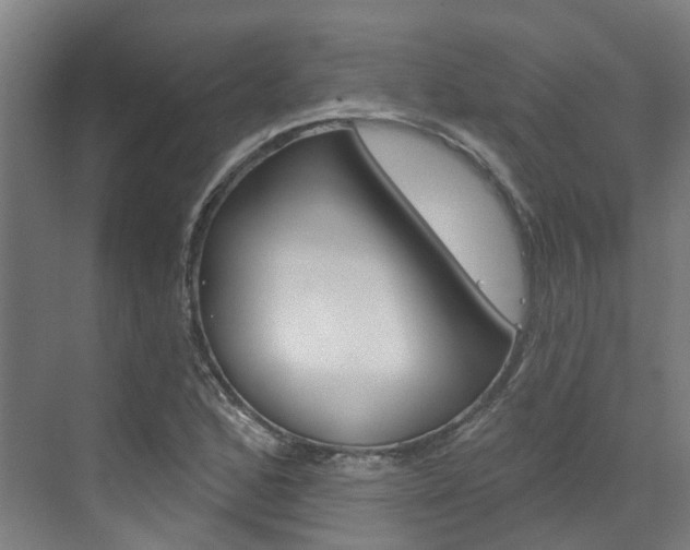 X0000073401168200607280927