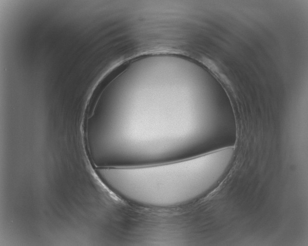 X0000073401189200607280927