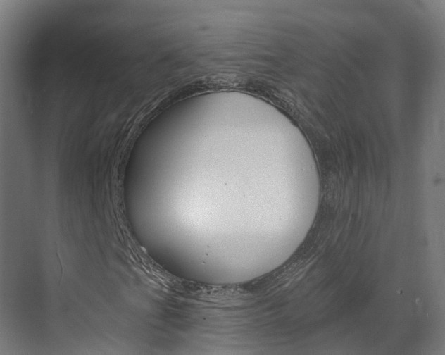 X0000073401201200607280926