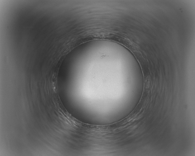 X0000073401202200607280926