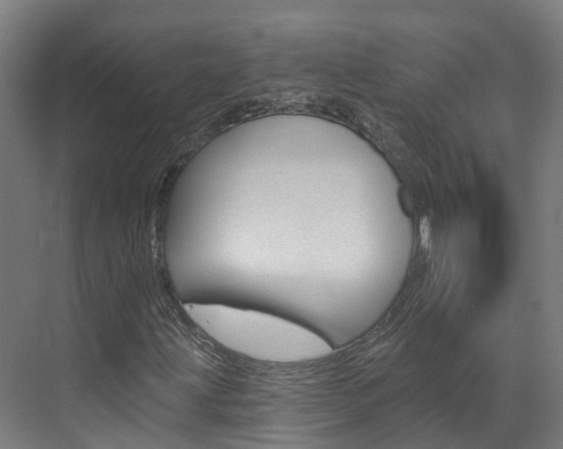 X0000073401203200607280926