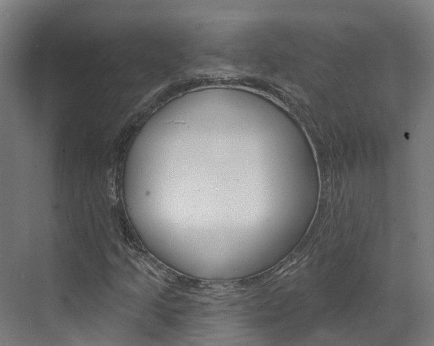 X0000073401205200607280926