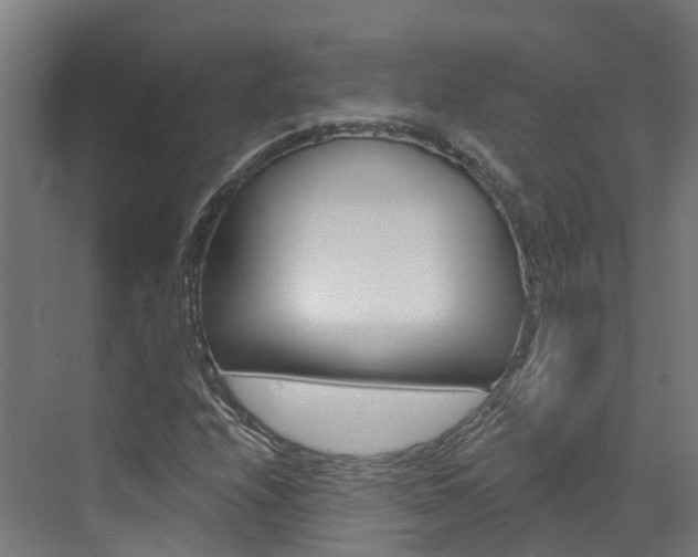 X0000073401208200607280926