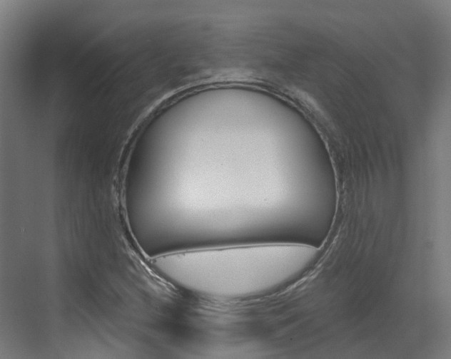 X0000073401212200607280926