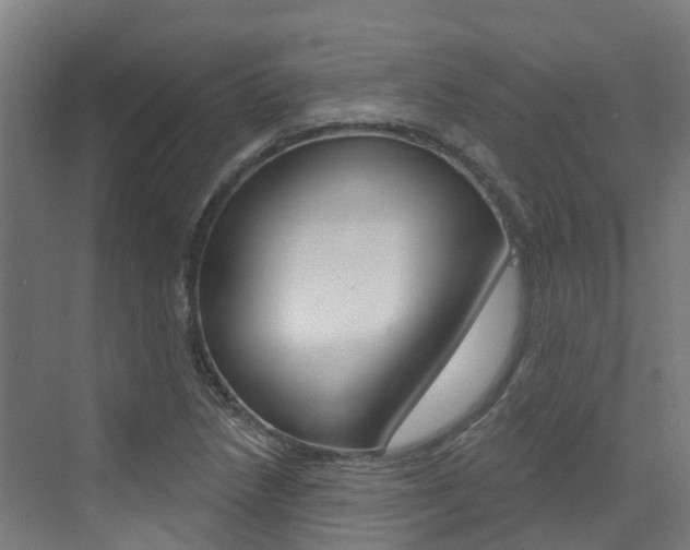 X0000073401218200607280926