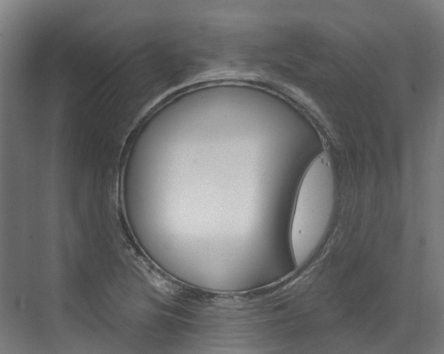 X0000073401220200607280926