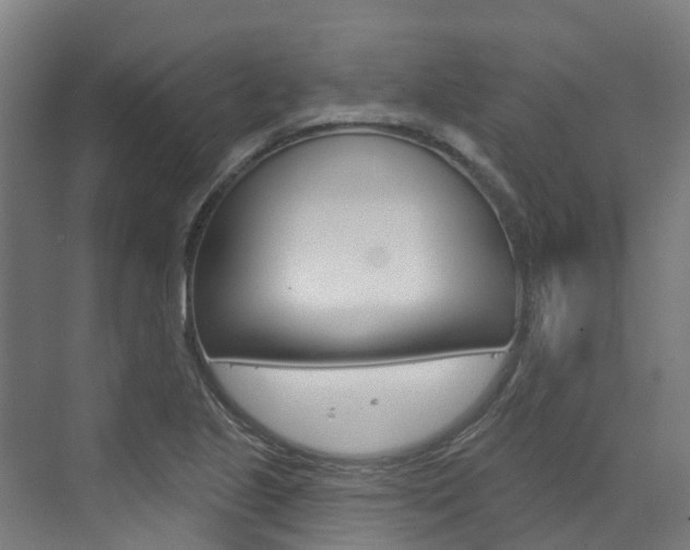 X0000073401221200607280926