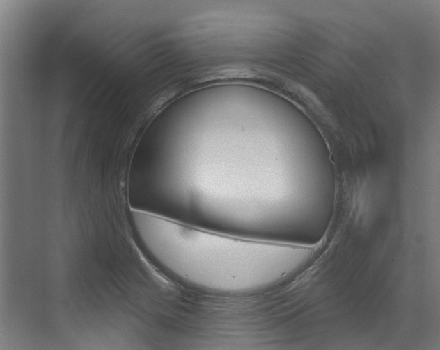 X0000073401225200607280926