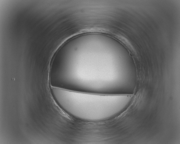X0000073401228200607280926