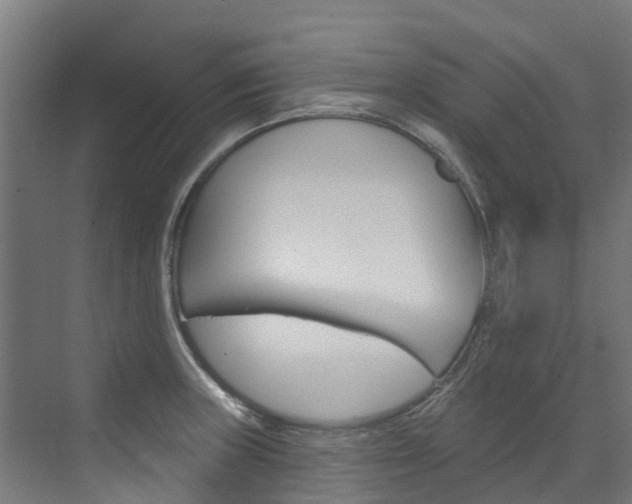 X0000073401235200607280926