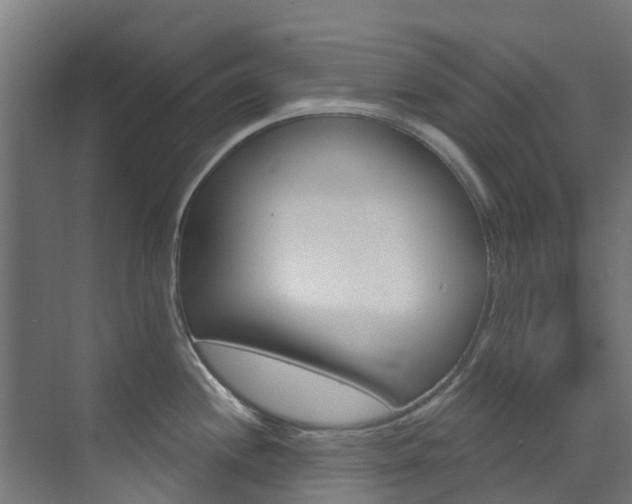 X0000073401244200607280926
