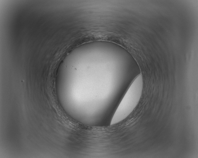 X0000073401249200607280926