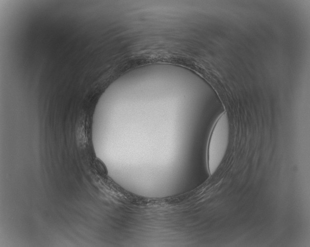 X0000073401250200607280926