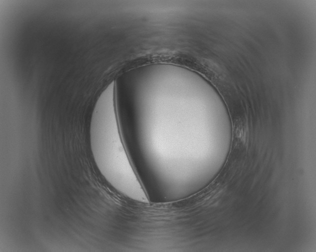 X0000073401252200607280926