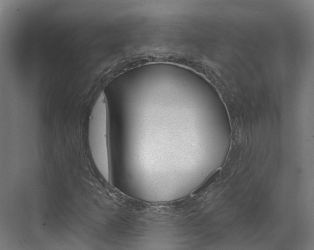 X0000073401253200607280926