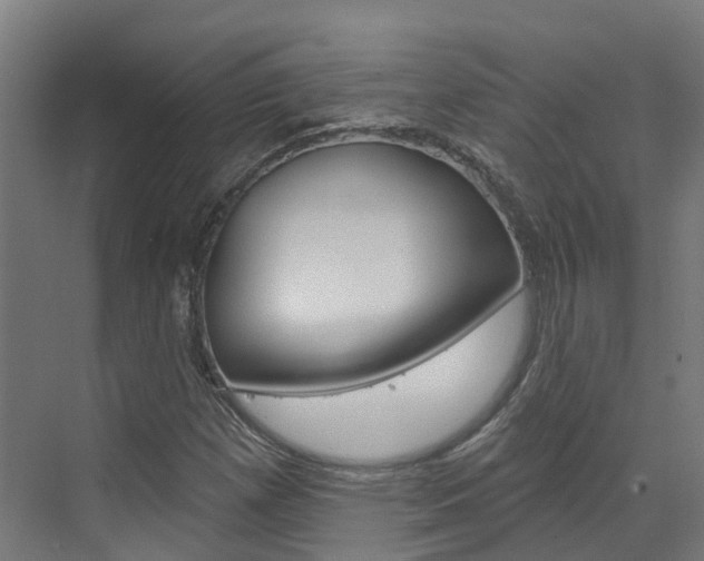 X0000073401257200607280926