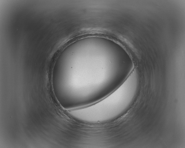 X0000073401261200607280926