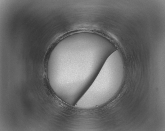 X0000073401267200607280925