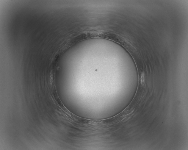 X0000073401299200607280924