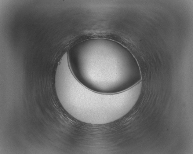 X0000073401300200607280924