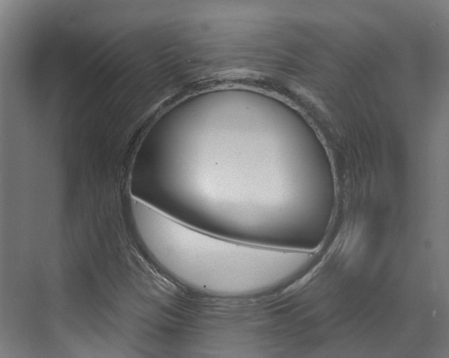 X0000073401305200607280924