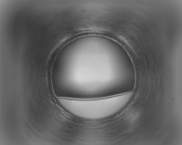 X0000073401307200607280924