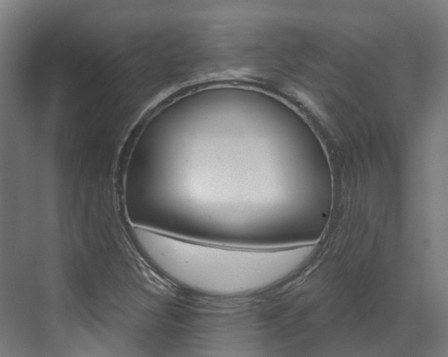 X0000073401308200607280924
