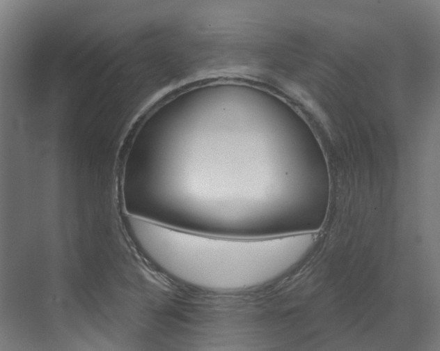 X0000073401316200607280924