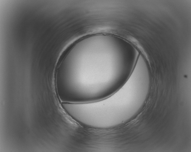 X0000073401336200607280925